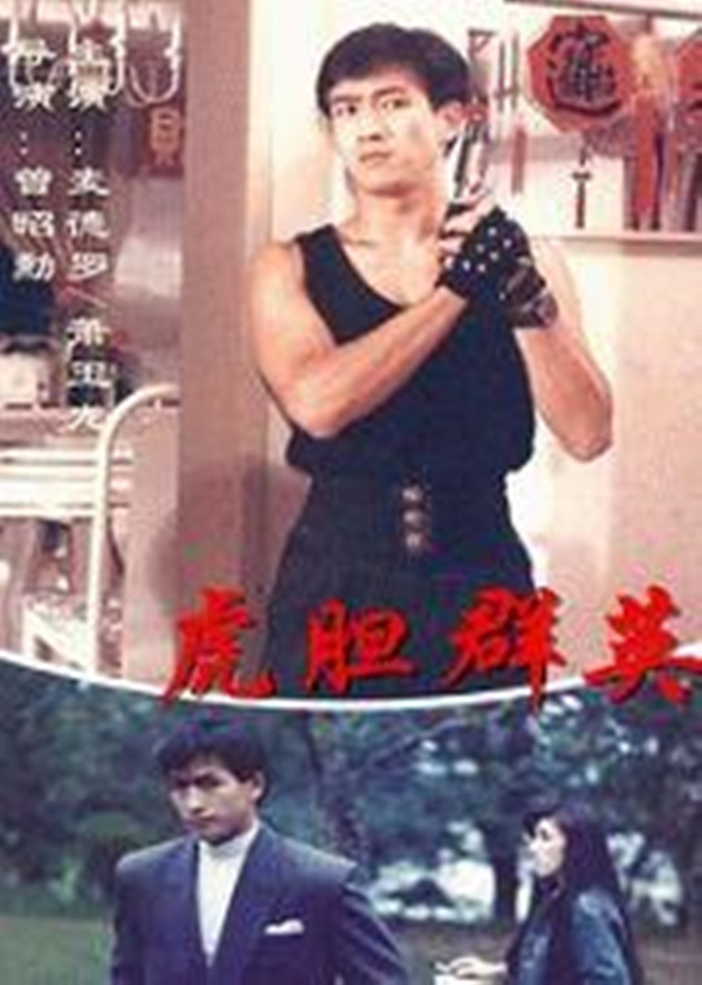 虎胆群英封面图