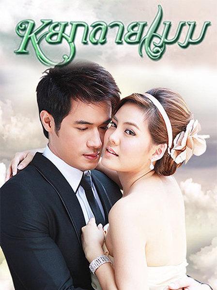 云上的宝石封面图