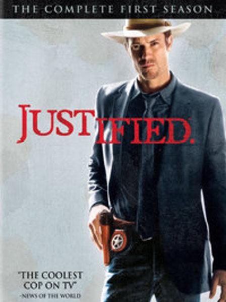 火线警探第一季封面图