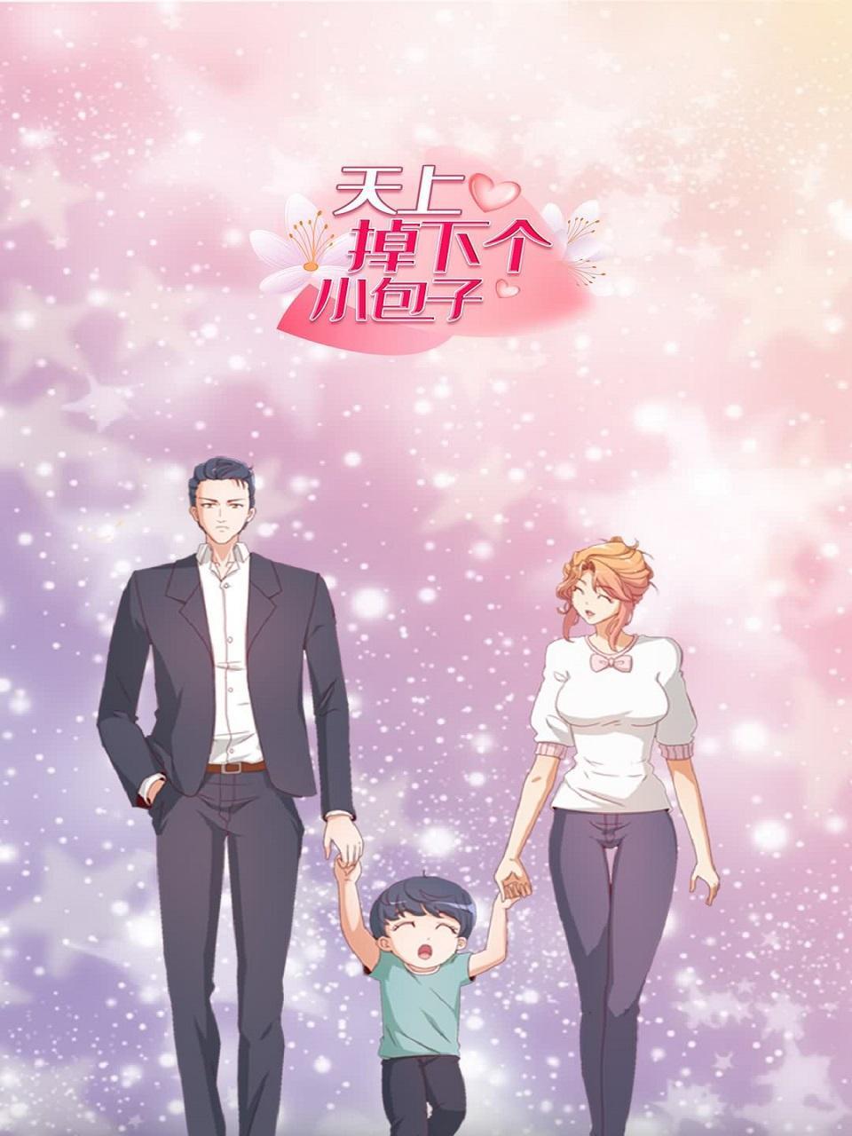 天上掉下个小包子封面图