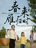 春来雁归时封面图