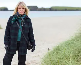 设得兰谜案第九季封面图