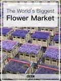 世界上最大的鲜花市场封面图
