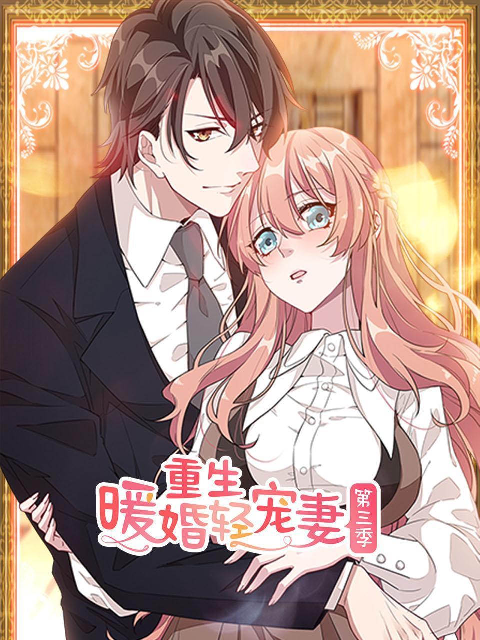 重生暖婚轻宠妻第三季