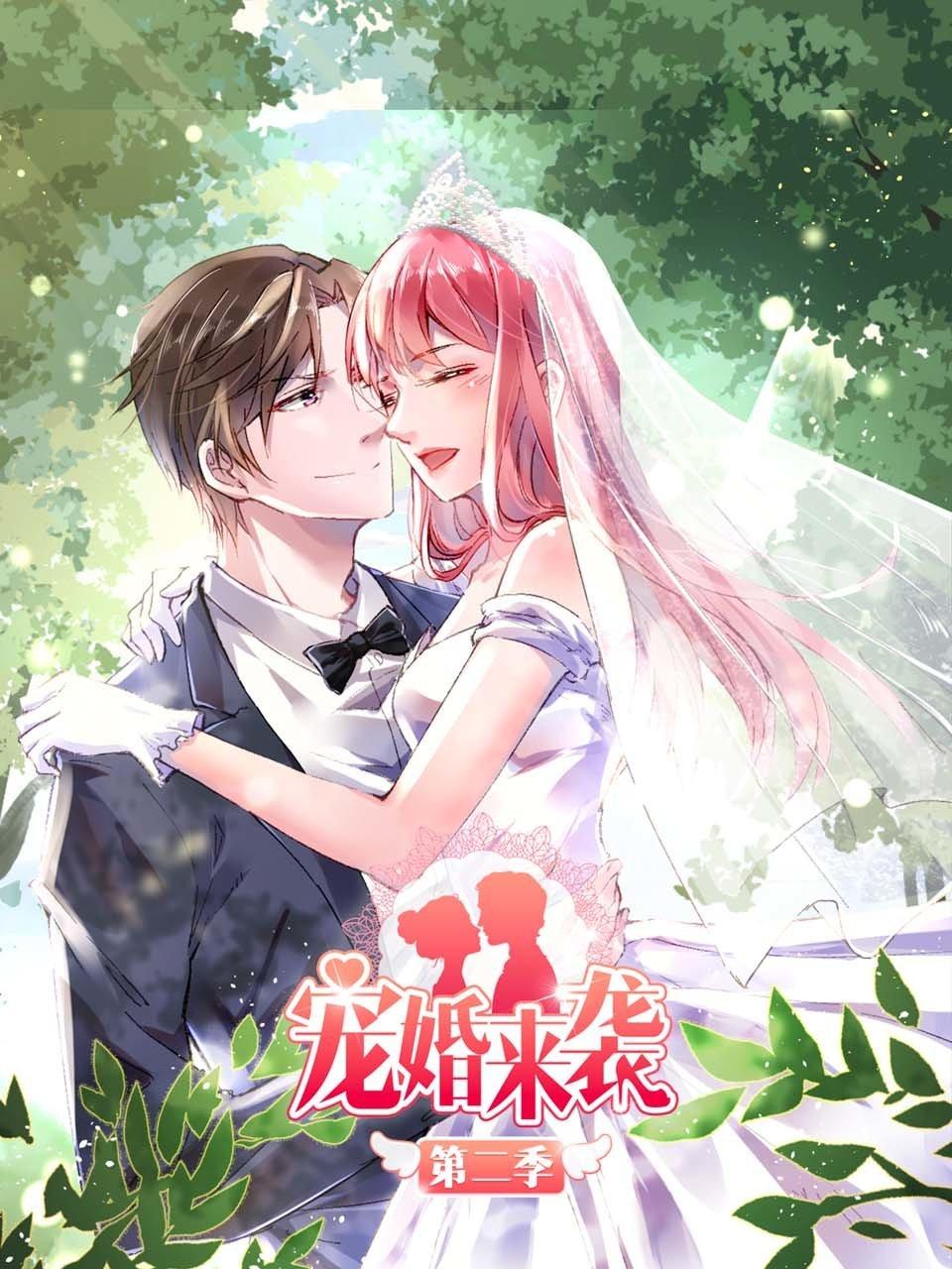 宠婚来袭第二季