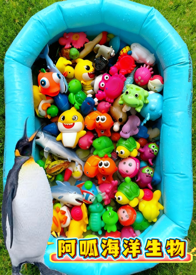 阿呱海洋生物