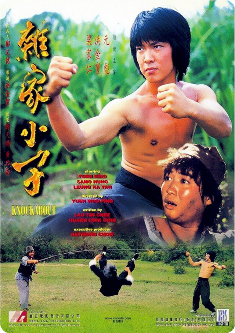 杂家小子封面图