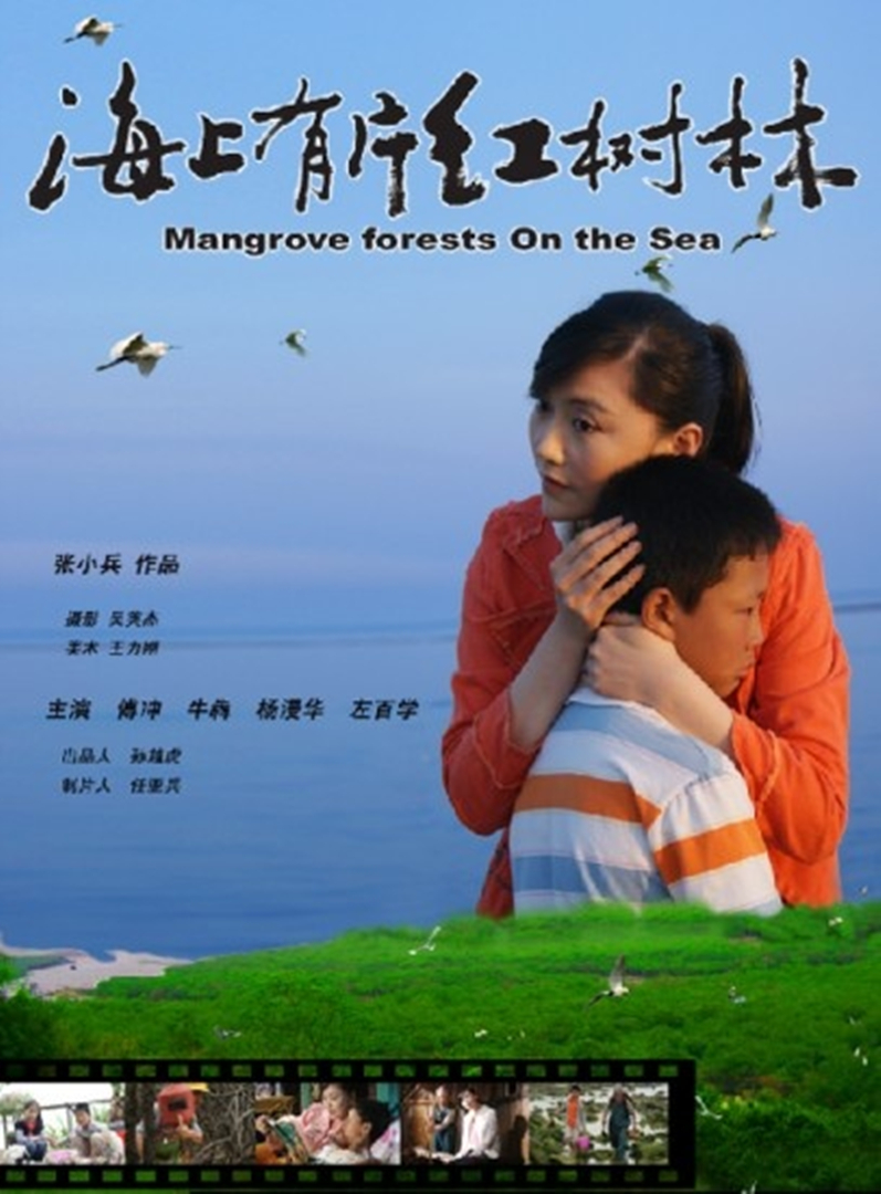 海上有片红树林封面图