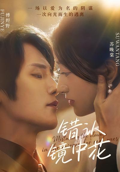 错认镜中花封面图