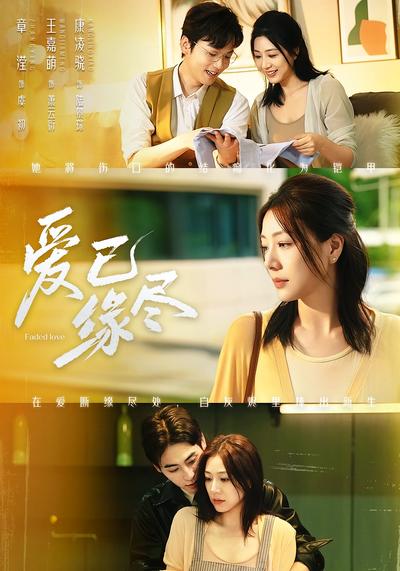 爱已缘尽封面图