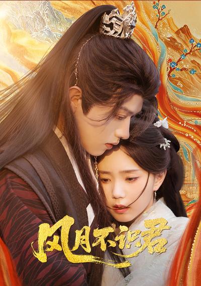 风月不识君封面图