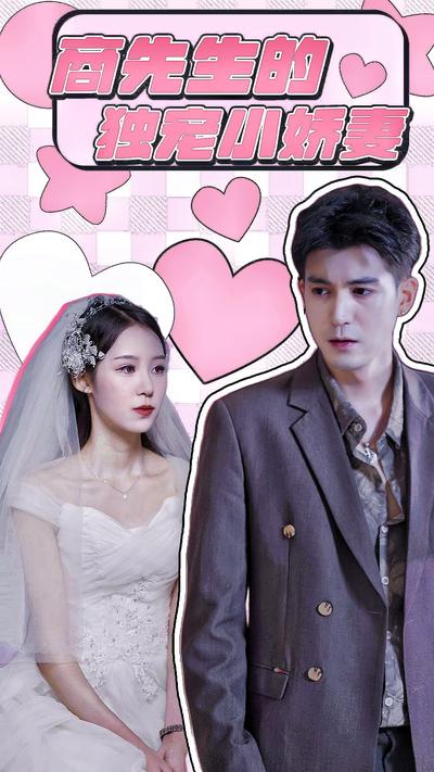 商先生的独宠小娇妻封面图