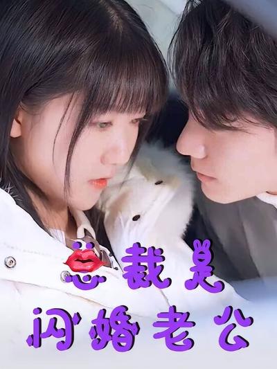 总裁是闪婚老公封面图