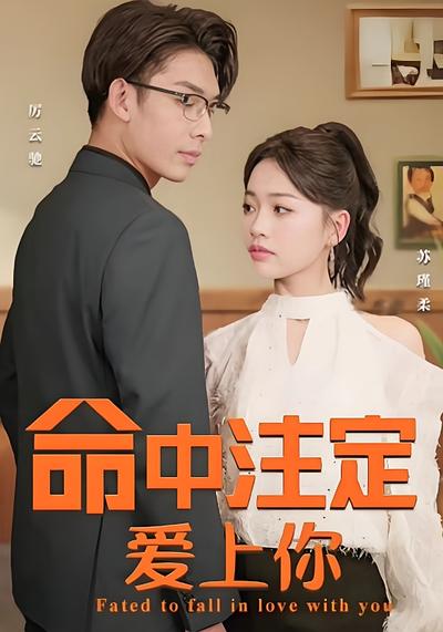 命中注定爱上你封面图