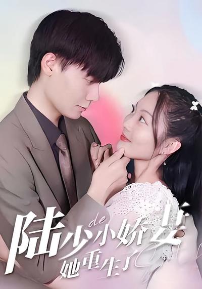 陆少的小娇妻她重生了封面图