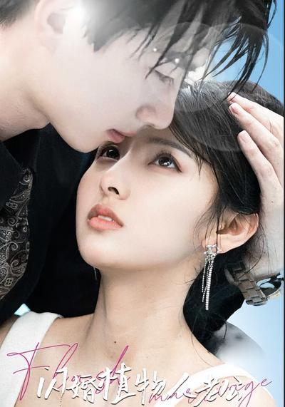 闪婚植物人老公封面图