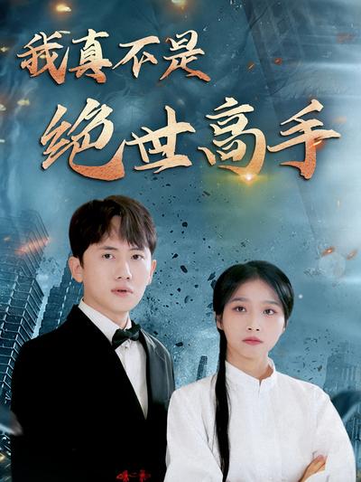 我真不是绝世高手封面图