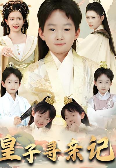 皇子寻亲记封面图