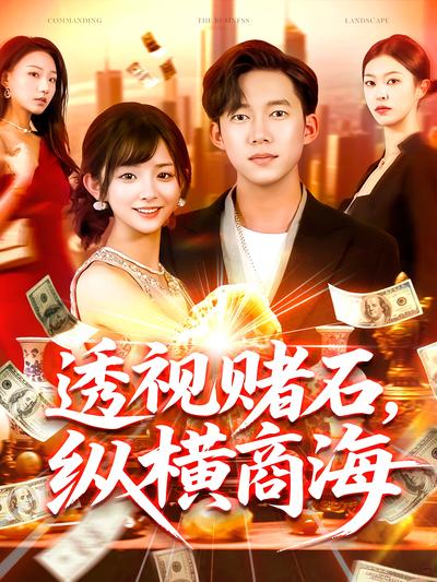 透视赌石，纵横商海封面图