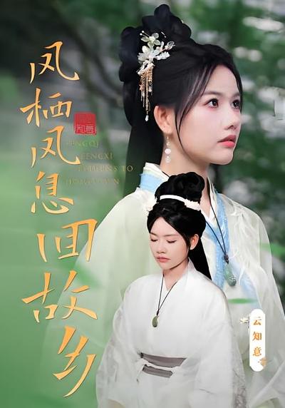 凤栖凤息回故乡封面图