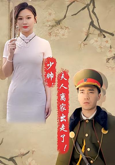 少帅夫人离家出走了封面图