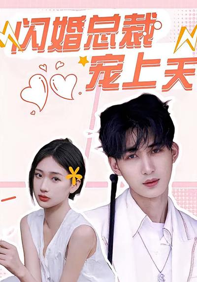 闪婚总裁宠上天封面图