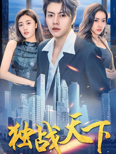 独战天下封面图