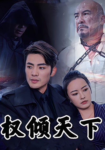 权倾天下封面图