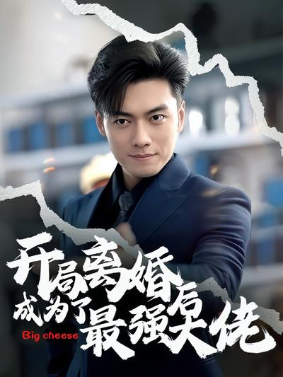 开局离婚后成为了最强大佬封面图