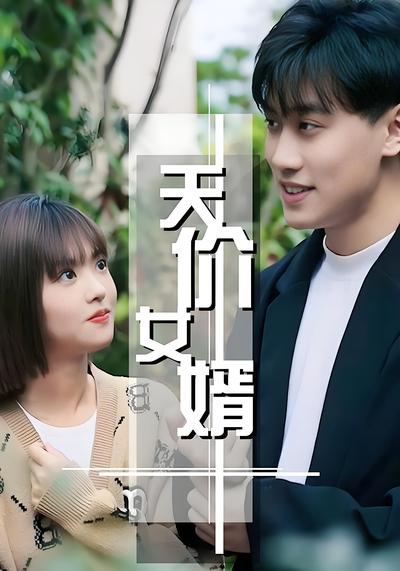 天价女婿封面图