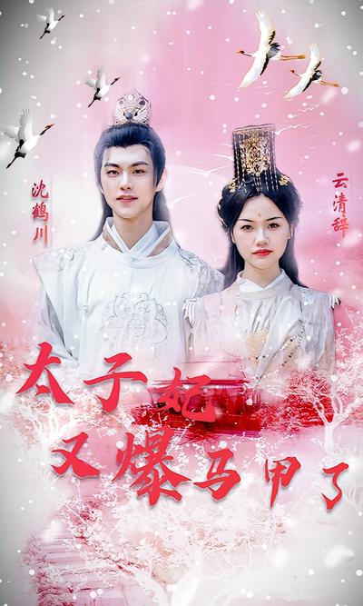 太子妃又爆马甲了封面图