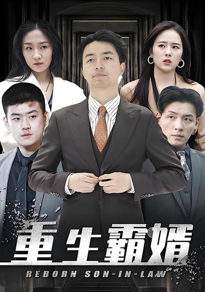 重生霸婿封面图