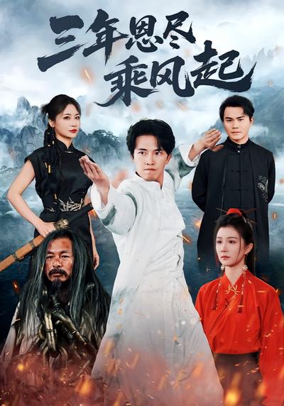 三年恩尽乘风起封面图