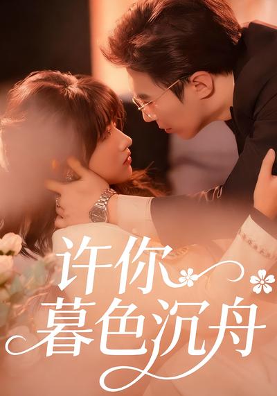 许你暮色沉舟封面图