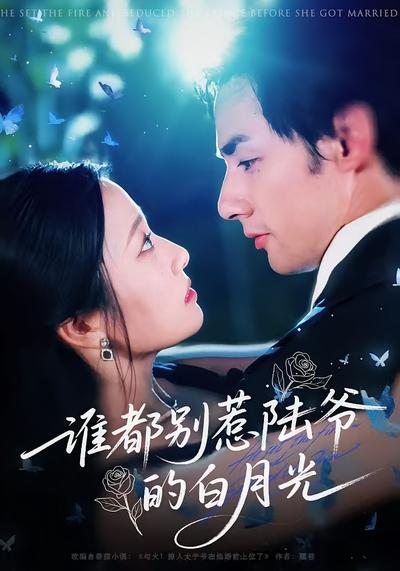 谁都别惹陆爷的白月光封面图