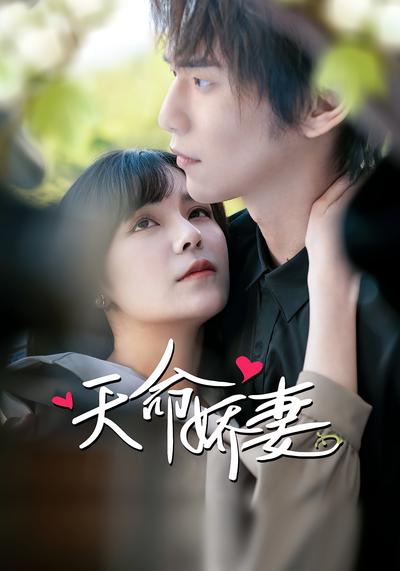 天命娇妻封面图