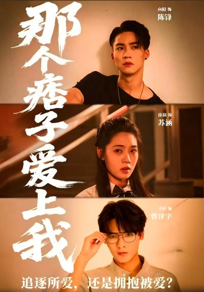 那个痞子爱上我封面图