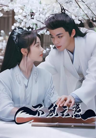 不负云意封面图