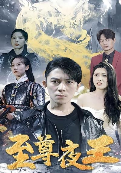 至尊夜王封面图