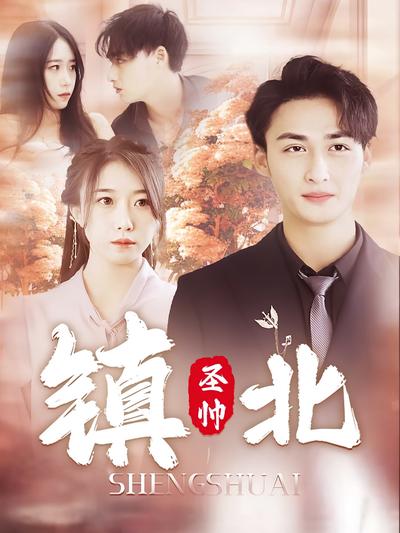 镇北圣帅封面图