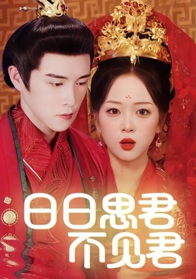 日日思君不见君封面图