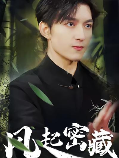 风起密藏封面图