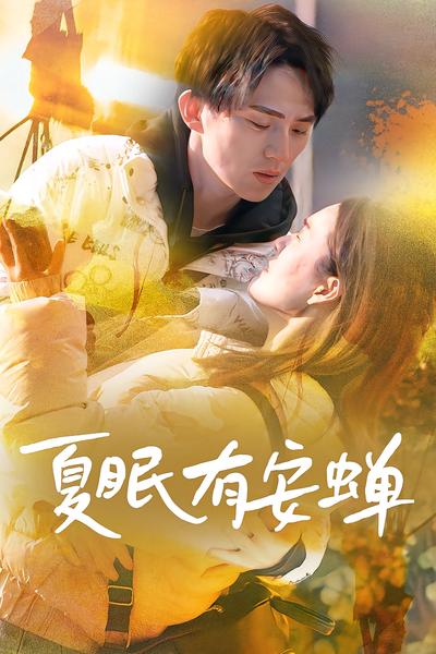 夏眠有安蝉封面图
