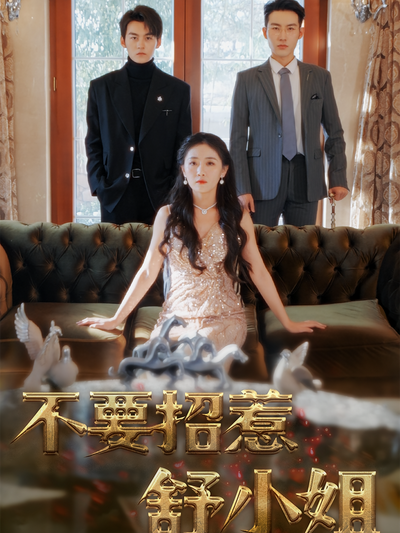 不要招惹舒小姐