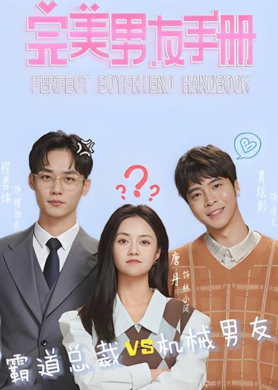 完美男友手册封面图
