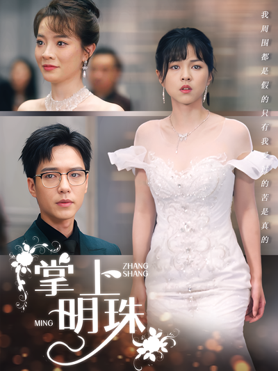 掌上明珠封面图