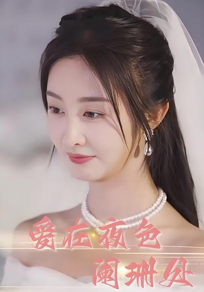 爱在夜色阑珊处封面图