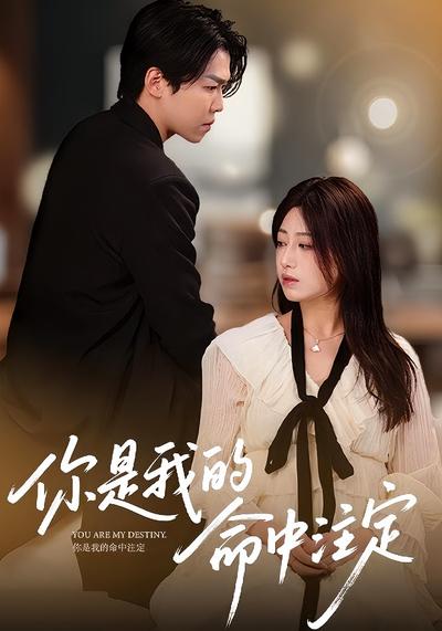 你是我的命中注定封面图