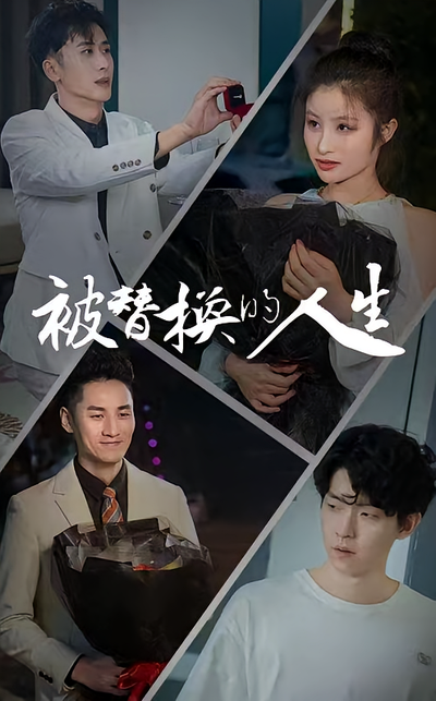 被替换的人生封面图