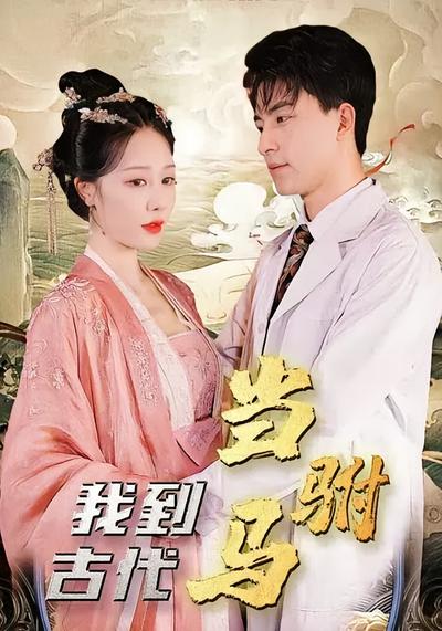 我到古代当驸马封面图
